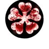 flat750x075f pad750x1000f8f8f8.u2 39 - Black Clover Gifts